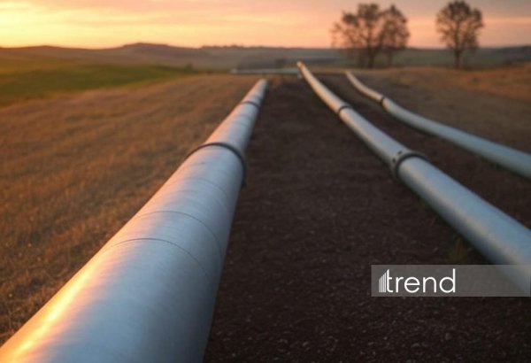 Обнародован общий объем нефти, транспортированной по БТД