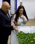 Лейла Алиева ознакомилась в Лянкяране с фермерским хозяйством «Зеленый чай» (ФОТО)