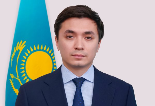 Казахстан планирует внедрять ИИ в реальный сектор экономики - Дмитрий Мун