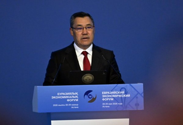 Кыргызстан предложил странам ЕАЭС объединить усилия для создания общих ИИ-мощностей и дата-центров