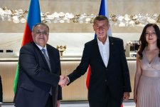 Между Чехией и Азербайджаном сложились динамично развивающиеся отношения - Премьер
