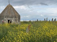 В Агдеринском и Агдамском районах обнаружены новые археологические памятники (ФОТО)