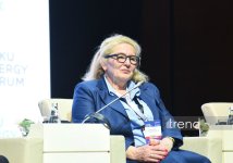 Начал работу 31-й Бакинский Энергетический Форум (ФОТО)