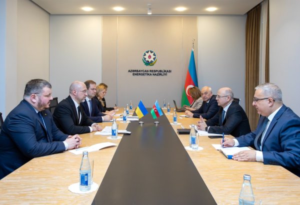 Рассмотрены вопросы сотрудничества Азербайджана с GECF и IRENA (ФОТО)