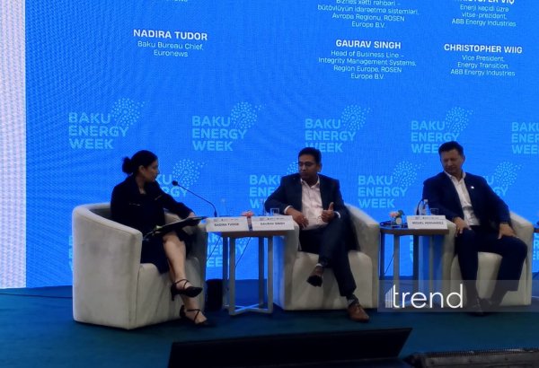 Цифровая трансформация трубопроводной отрасли требует согласованного подхода к управлению данными - ROSEN