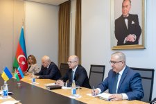 Рассмотрены вопросы сотрудничества Азербайджана с GECF и IRENA (ФОТО)