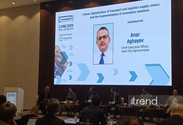Конкурентоспособность транспортной отрасли зависит от эффективности и цифровизации - Food City Agrocomplex