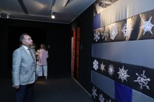 "Катарсис" Эльчина Шамилли – когда ковёр превращается в философскую модель человеческого сознания (ФОТО)
