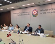 Азербайджан и Австрия провели первые консульские консультации (ФОТО)