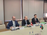 Азербайджан и Австрия провели первые консульские консультации (ФОТО)