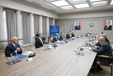 Экономический совет Азербайджана обсудил развитие СЭЗ Алят и сектора услуг (ФОТО)