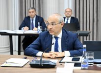 Экономический совет Азербайджана обсудил развитие СЭЗ Алят и сектора услуг (ФОТО)