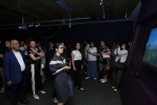 Орнаменты цифрового века - древние азербайджанские ковры и science art (ФОТО)