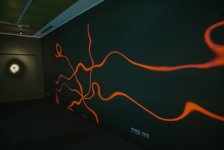 Орнаменты цифрового века - древние азербайджанские ковры и science art (ФОТО)