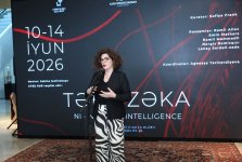 Орнаменты цифрового века - древние азербайджанские ковры и science art (ФОТО)