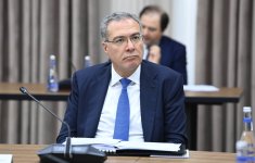Экономический совет Азербайджана обсудил развитие СЭЗ Алят и сектора услуг (ФОТО)
