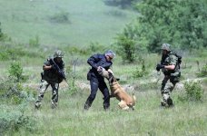 В ходе учений "Platinum Wolf – 2026" состоялся "День высокопоставленного наблюдателя" (ФОТО)