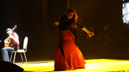 Баку в атмосфере красной дорожки - музыкальная подпись сезона Signature Gala Night (ФОТО)
