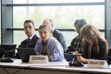 С участием Вице-президента Фонда Гейдара Алиева Лейлы Алиевой в Бонне обсуждены экологические последствия снижения уровня Каспия (ФОТО)