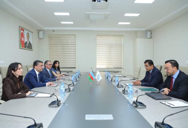 Обсуждено сотрудничество между MEDİA и Объединением новостных агентств ОИС (ФОТО)