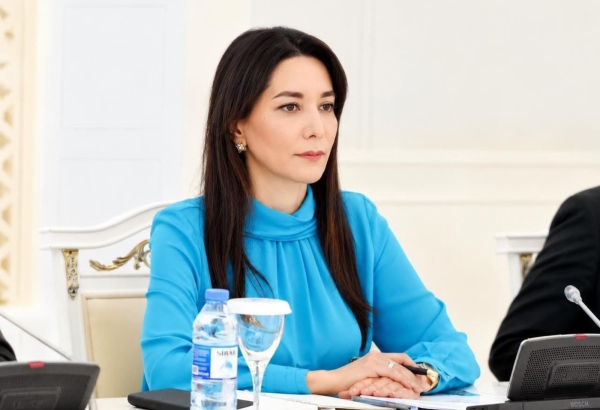 Укрепление культуры прав человека зависит от активной гражданской позиции — Сабина Алиева (Интервью)