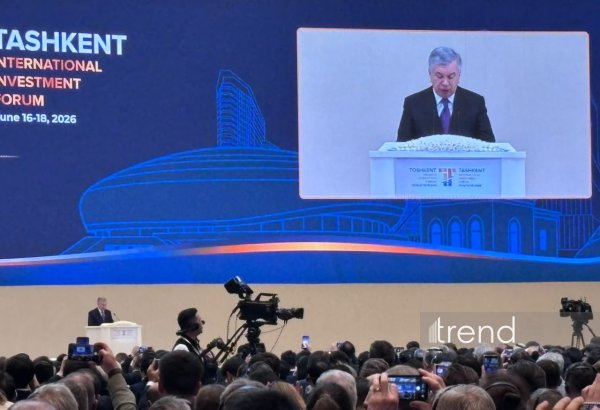 Узбекистан работает над широким внедрением ИИ во все сферы - Шавкат Мирзиёев