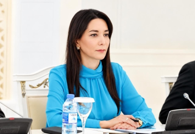 Укрепление культуры прав человека зависит от активной гражданской позиции — Сабина Алиева (Интервью)