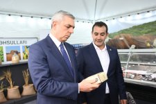 В Ходжалы состоялось ознакомление с животноводческим комплексом "Qoç Ət" (ФОТО)
