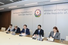 Ялчин Рафиев провел обсуждения с исполнительным директором IGAD (ФОТО)