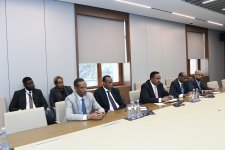 Ялчин Рафиев провел обсуждения с исполнительным директором IGAD (ФОТО)