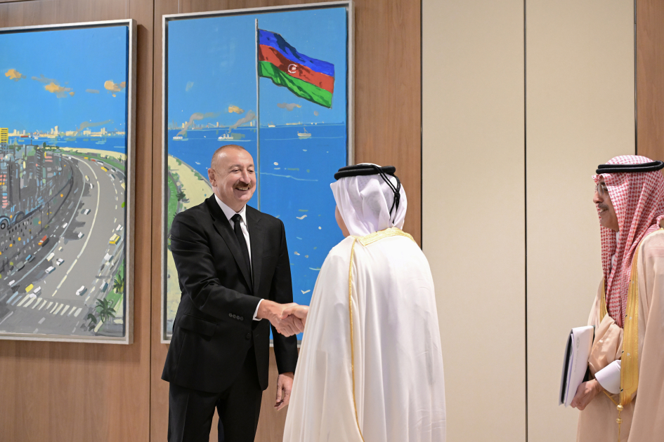 Президент Ильхам Алиев принял делегацию в составе руководителей структур-членов Арабской координационной группы (ФОТО)