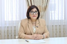 Сахиба Гафарова провела обсуждения с председателем Глобального совета толерантности и мира (ФОТО)