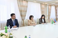 Сахиба Гафарова провела обсуждения с председателем Глобального совета толерантности и мира (ФОТО)