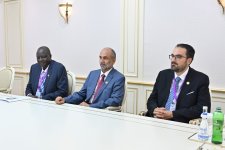 Сахиба Гафарова провела обсуждения с председателем Глобального совета толерантности и мира (ФОТО)