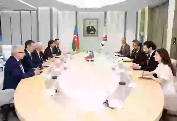 Обсуждено партнерство в энергосекторе между Азербайджаном и Италией (ФОТО)