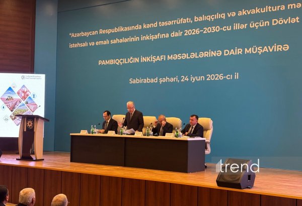 В Азербайджане планируется внедрение механизмов страхования в хлопководстве - Зейнал Нагдалиев