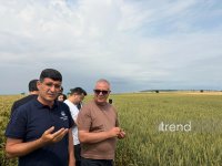 В Ивановке состоялось мероприятие на тему «Значение сертификации в развитии семеноводства» (ФОТО)