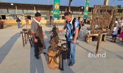 Путешествие из Баку в Шымкент – древняя Шымкала, Этноаул, День города, белоснежная мечеть... (ФОТО, часть 1)