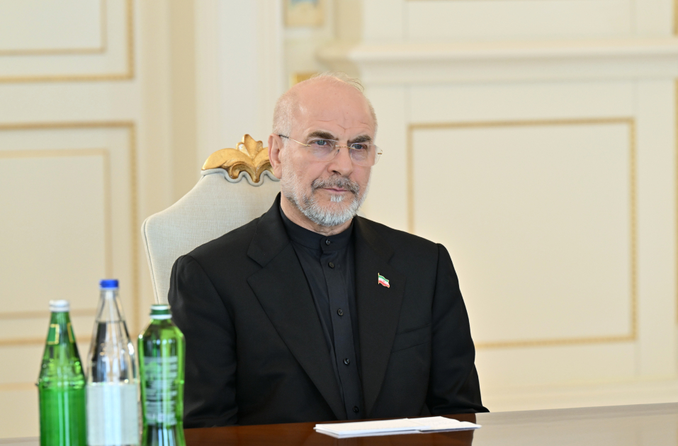 Президент Ильхам Алиев принял делегацию во главе с председателем Собрания исламского совета Ирана (ФОТО)