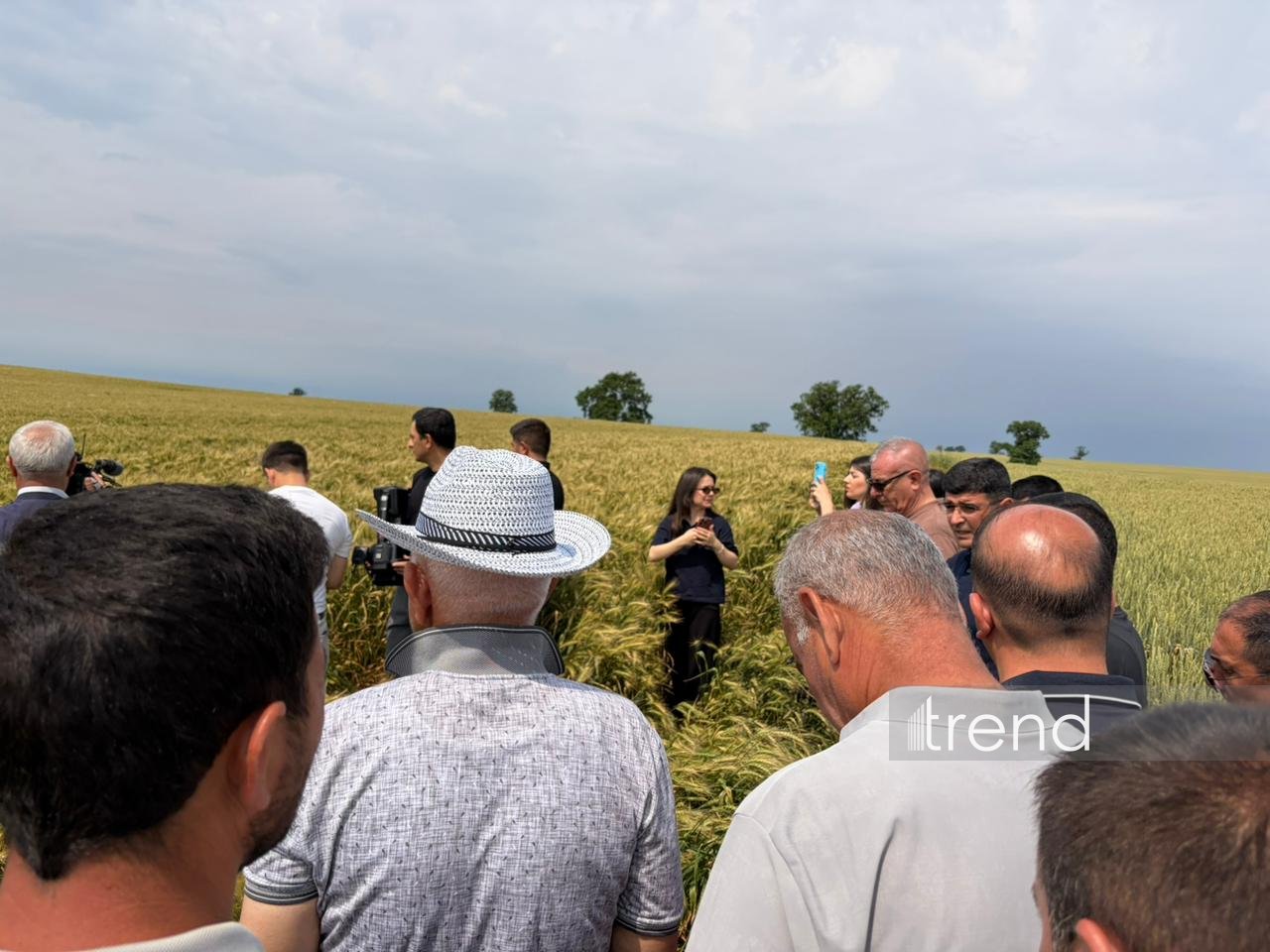 В Ивановке состоялось мероприятие на тему «Значение сертификации в развитии семеноводства» (ФОТО)