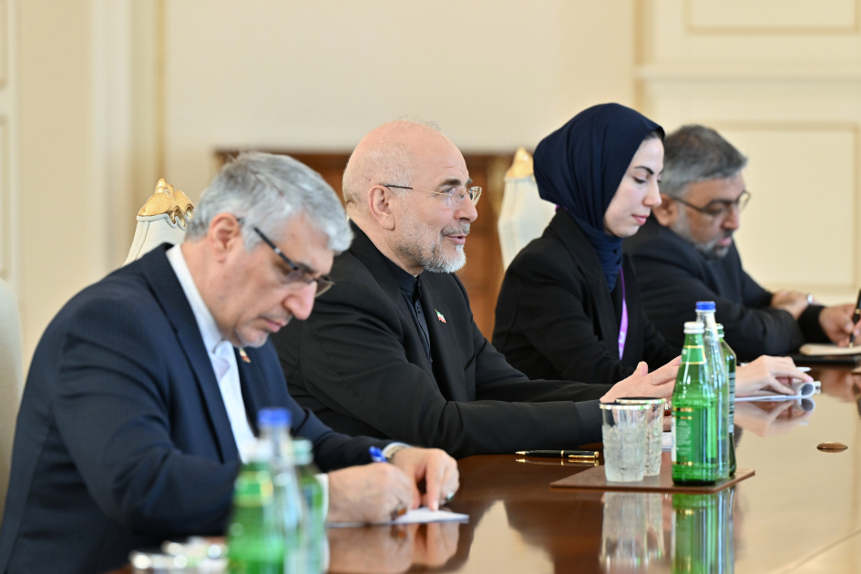 Президент Ильхам Алиев принял делегацию во главе с председателем Собрания исламского совета Ирана (ФОТО)