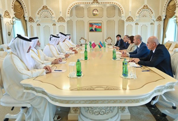 Сахиба Гафарова встретилась с председателем Консультативного совета Катара (ФОТО)