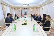 Сахиба Гафарова провела встречу с Зией Озтюрклером (ФОТО)