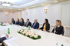 Сахиба Гафарова провела встречу с Зией Озтюрклером (ФОТО)
