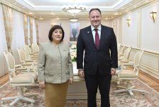 Сахиба Гафарова провела встречу с Зией Озтюрклером (ФОТО)