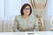 Сахиба Гафарова провела встречу с Зией Озтюрклером (ФОТО)