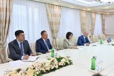 Сахиба Гафарова провела встречу с Зией Озтюрклером (ФОТО)