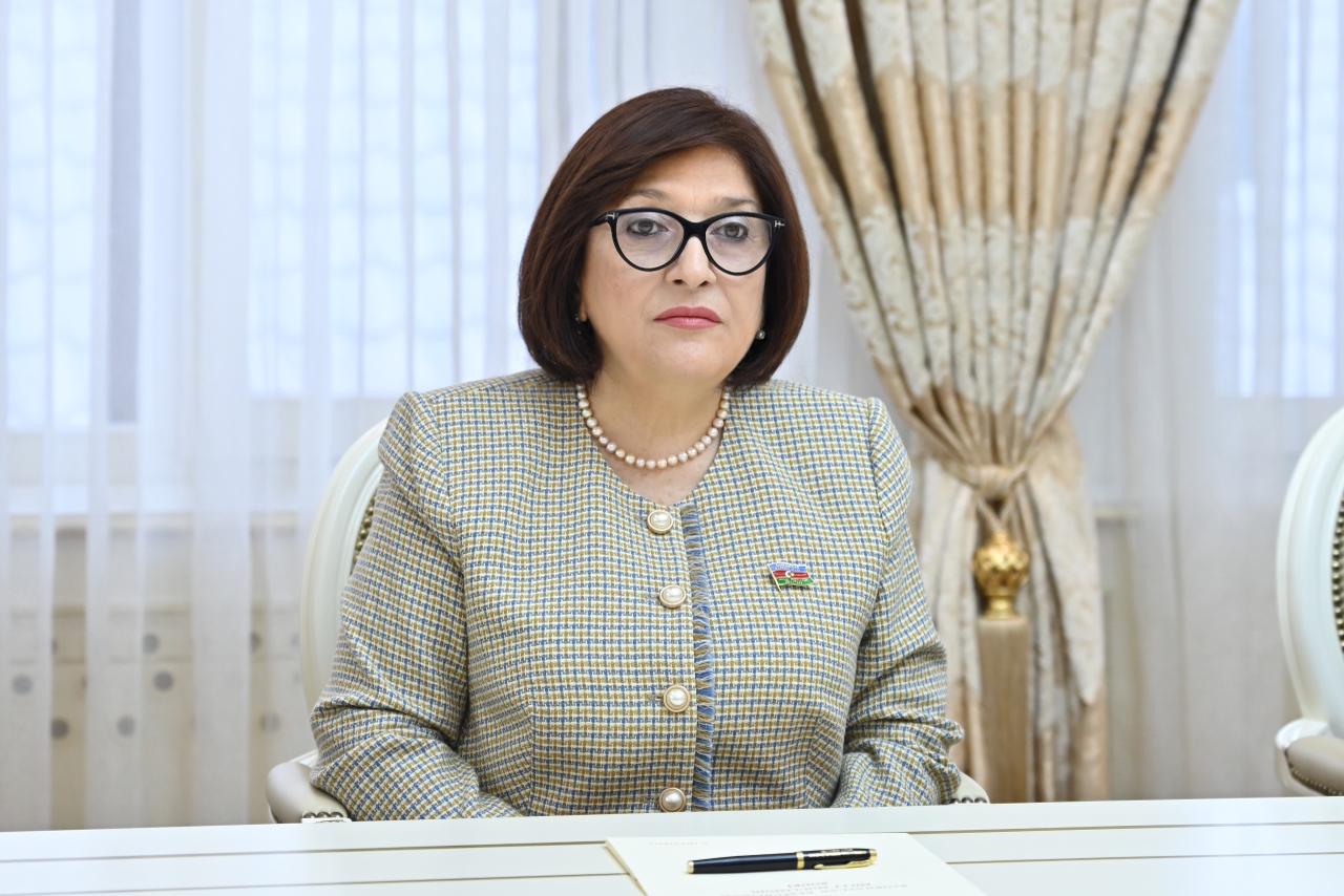 Сахиба Гафарова провела встречу с Зией Озтюрклером (ФОТО)