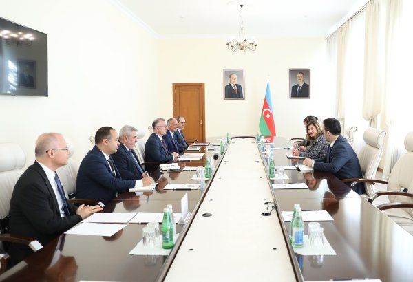 В минздраве Азербайджана прошла встреча с делегацией ICMP (ФОТО)
