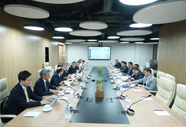 Кыргызстан и Beta Tea обсудили запуск чайного производства
